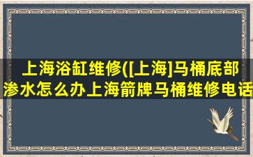 上海浴缸维修([上海]马桶底部渗水怎么办上海箭牌马桶维修电话)插图